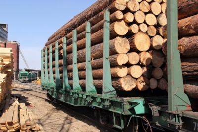 В Югре компанию заподозрили в контрабанде леса в Узбекистан