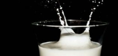 Эксперты нашли бактерии в молоке «Эго» и не исключили нарушений у «Экомилк», «Ермолино», «Домик в деревне» и «Авида»